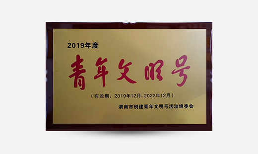 2019年度青年文明號(hào)